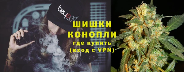 гидра Балахна